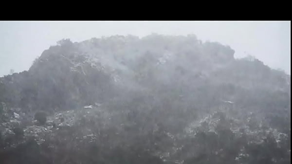 The Cold