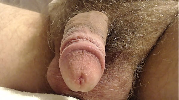 Penis Close Up 2