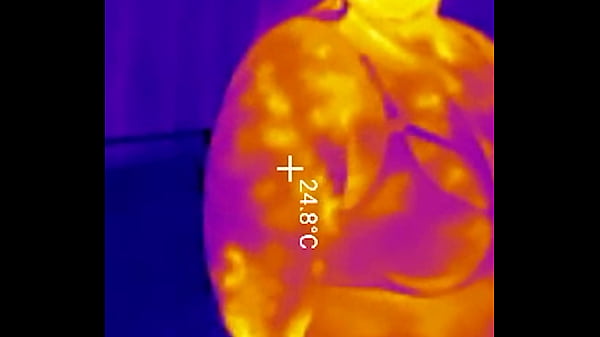 Debut LOCKED In Chastity Belt! Chunky BBW Butt Penetrated Deep Then Packed With 2 GIANT Backside Loads Thermal POV (4K Portrait)
