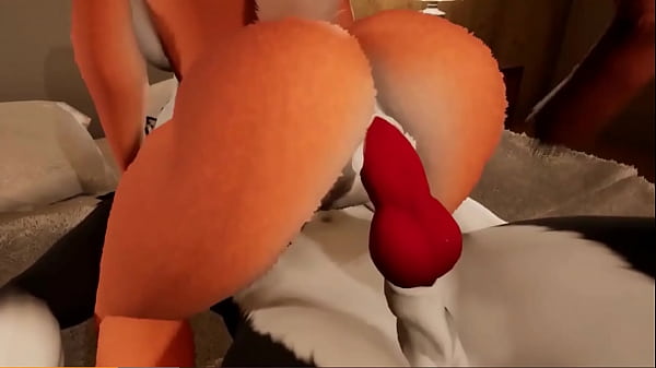Furry Animation, Bounce Him Vigorous