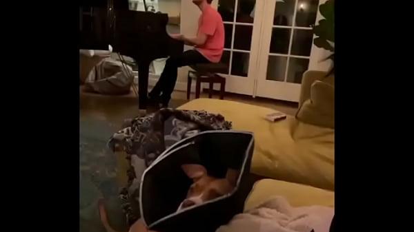 Billie Ellish Slaps Her Huge Melons