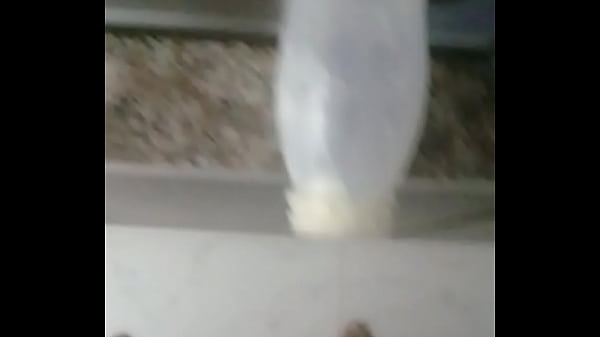 Casero Se Masturba En La Cocina Acaba En El Tarro De La Mayonesa