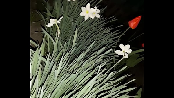 First I Invited My Tenant To Admire The Flowers, And Then I Slammed Her In The Lips - Girls Fly Peak