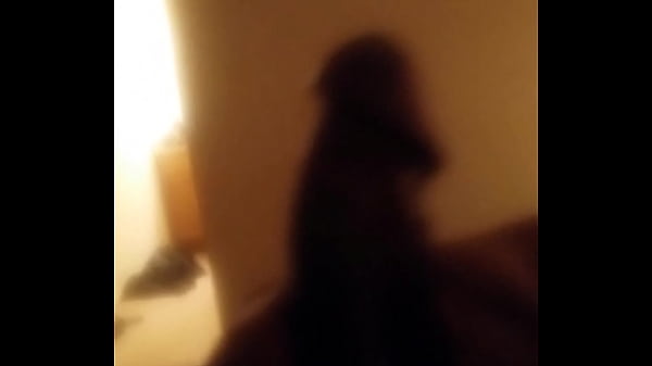 20170208 024606