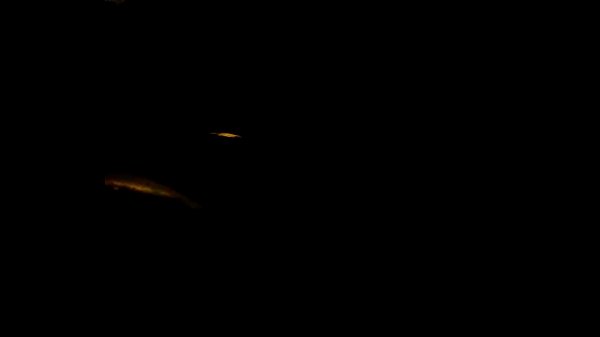 0308170101