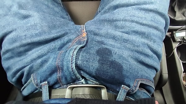 Peeing In My Car