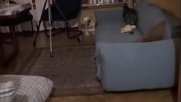 When He Pushed The Vibrator Into The Milf's Horny Pussy And The Swallowed His Rod