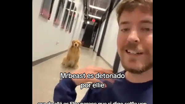 Ellie Detona A MrBeast