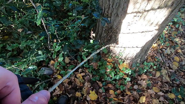 Awesome Giant Pee On Tree