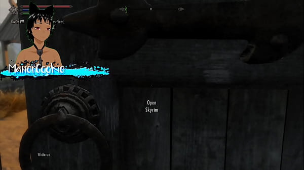 Skyrim B And L Mod - Going On A Quest From The Companions And Meeting And Railing Someone Along The Way