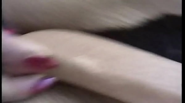 He Put Something In The Cat And Passersby Can't Resist