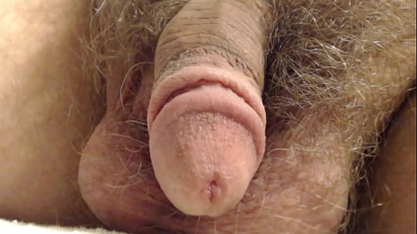 Penis Close Up