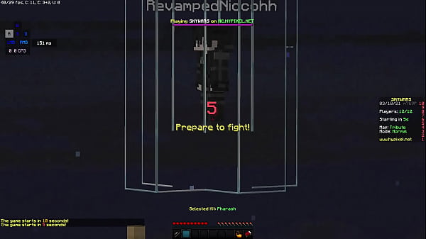 Novinho Safado Tomando Fogo E Apanhando No MINECRAFT