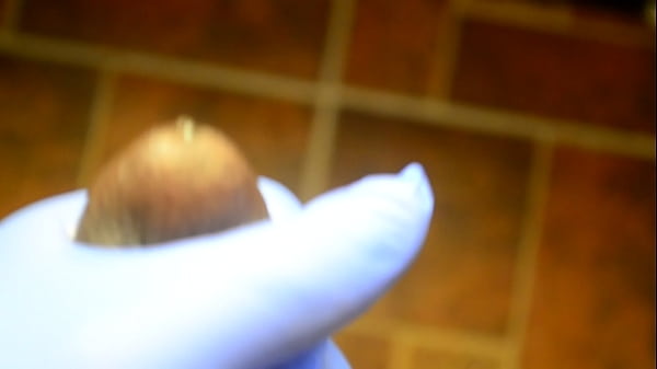 Enormous Black Prick Jackoff With Glove HD