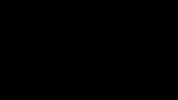 VID 20160604 045106