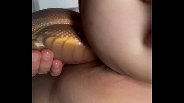 “When It All Started” - Premières Fois Avec Mon Nouveau Jouet Un Gros Gode Bad Dragon Orochi !!!