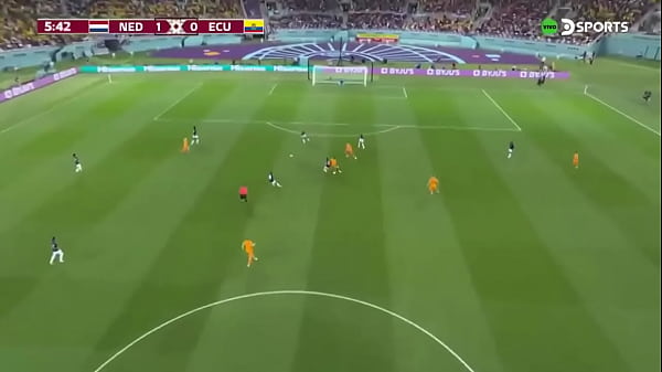 ECUADOR 1-1 PAISES BAJOS