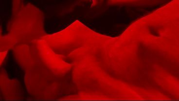 My Wife's An Expert-level Member Sucker! Side View Blowjob: Red Light Videos #17