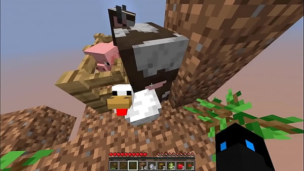 Minecraft En Un Solo Bloque