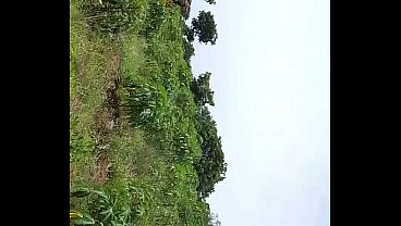 Nature Drill