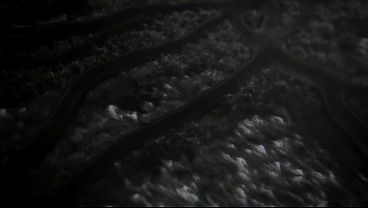 Resident Evil 7 Intro