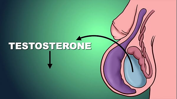 Get Penis Juice At - SexFuze.com - Erectile Dysfunction Treatment | 5 Simple Things To Reverse Erectile Dysfunction | ED | ED Treatment