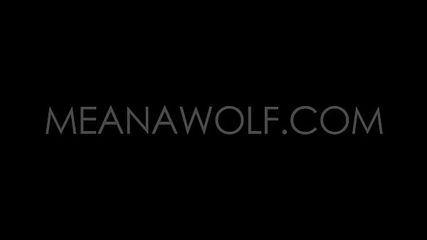 The Housekeeper - Meana Wolf