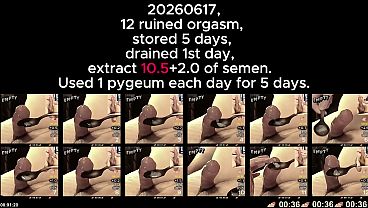 20260617, 12 Demolished Climax, Stored 5 Days, Sapped 1st Day, Extract 10.5 Of Semen. Short Version