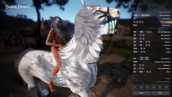 Black Desert Online Bare Mod Showcase
