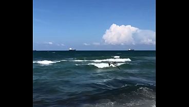 PELICAN DIVING INTO OCEAN