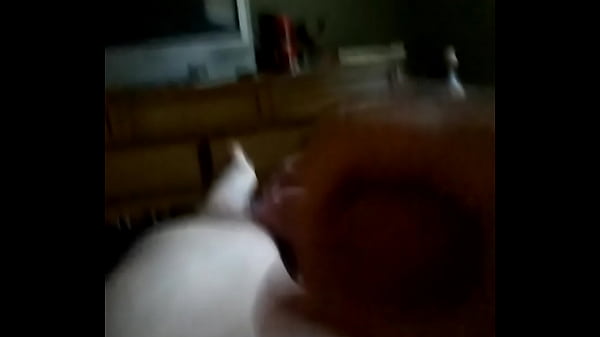 VID 20160902 071034847