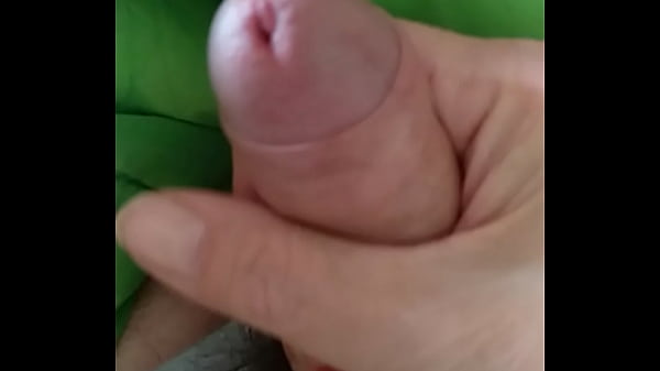 VID 20171130 154054 Pajilla