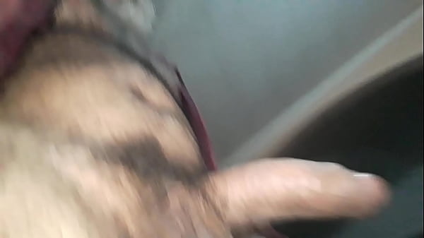PINTÃO BALANÇANDO