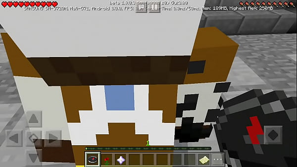 V. Chica En Minecraft