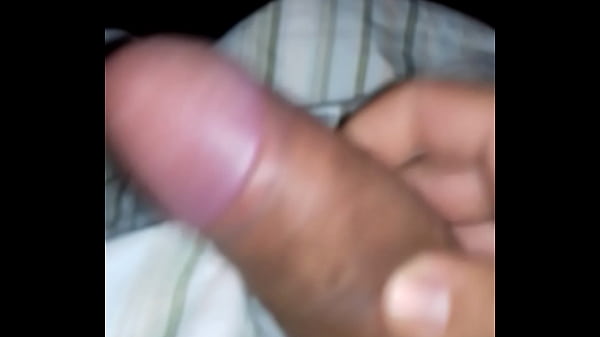 Pau Grosso Anaconda