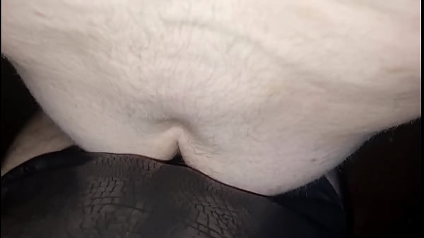 Gerente Do Meu Trampo Me Deu O Rabo E Deu Pro Meu Amigo