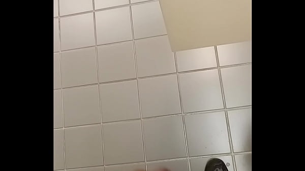 Rubbing In The Library Bathroom 5
