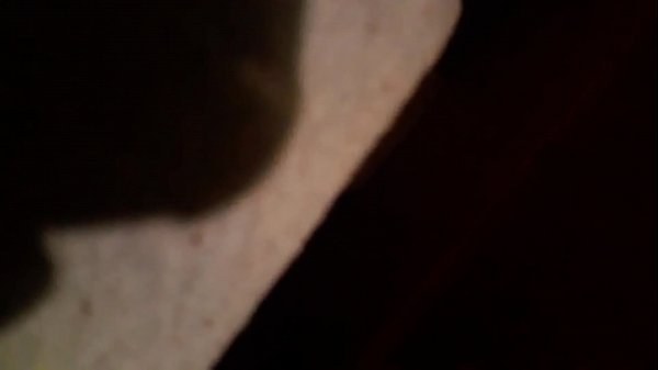 NA CAMA COM O KlD BENGALA NA CAMA COM A DUDA HUGNEN