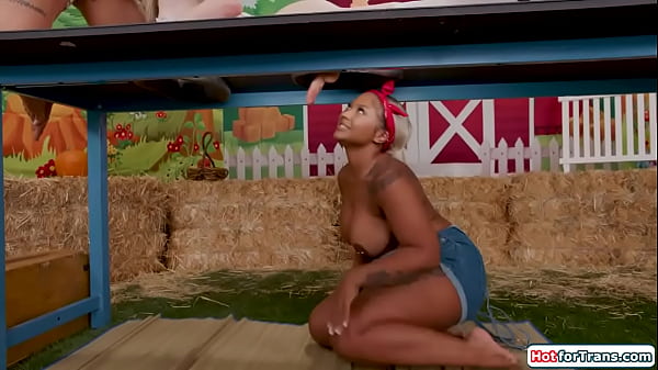 Chunky Ebony Milkmaid Pounded By Shemales