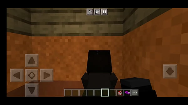 Hitler Tranzando No Minecraft