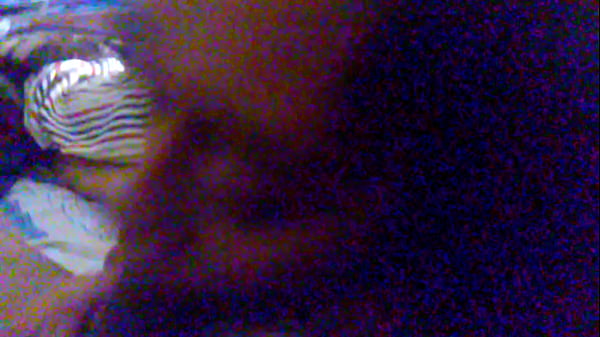 CAM00564 001