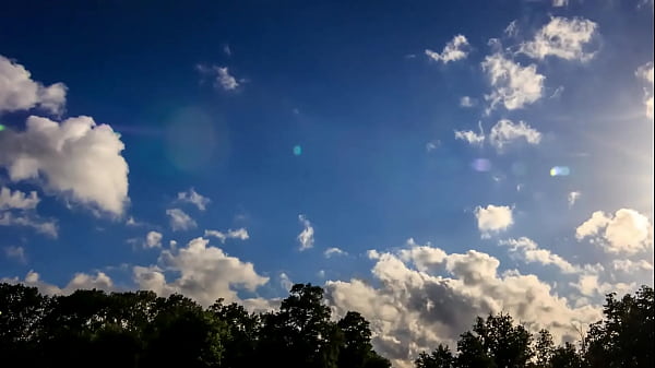 Medow Test Video