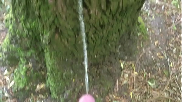 Fella Pissing On A Tree