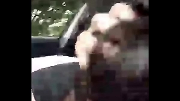 Compilations Of And Courtney, Best Of The Videos