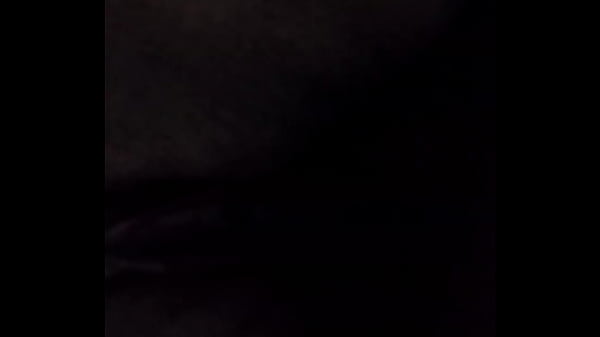 O Dinossauro E A Gatinha