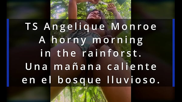 TS Angelique Monroe - A Needy Morning In The Rainforest.