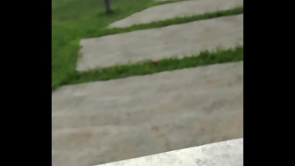 Novia Folla En Un Parque Publico