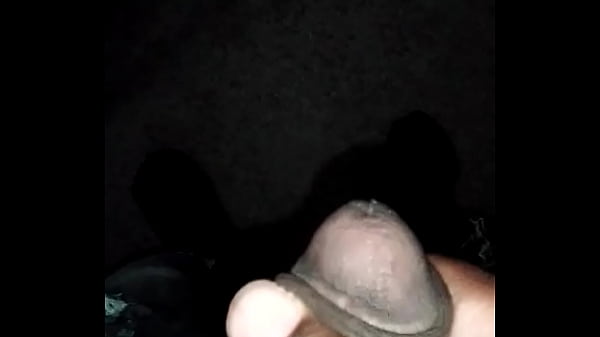 Piggy Quickie 3