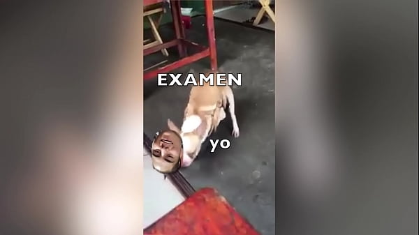 Como Me Fue