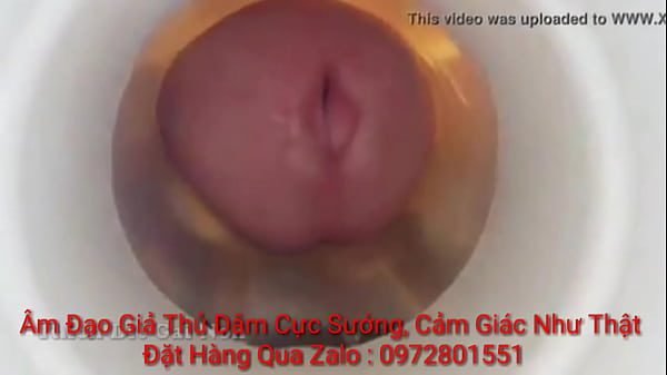 Bên Trong âm đạo Giả